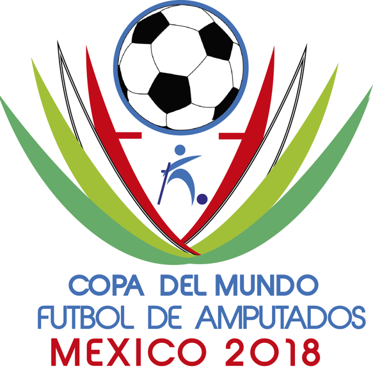 Збірна України серед футболістів з обмеженими можливостями виступить на чемпіонаті світу